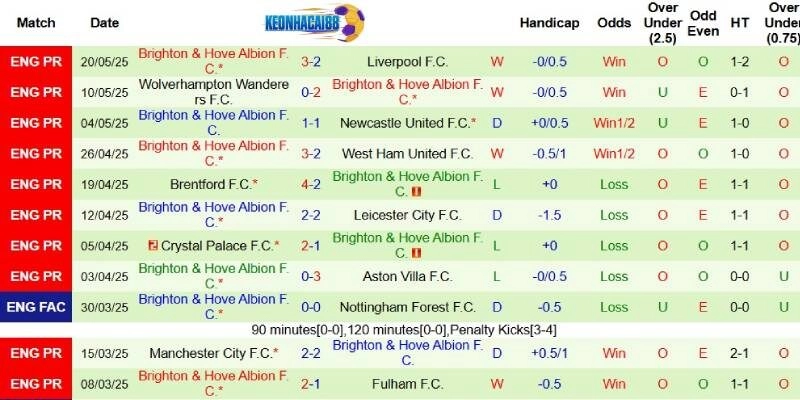 Thành tích mới nhất phía Brighton